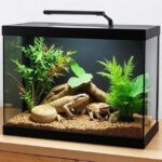 Best Enclosures For Pet Reptiles
