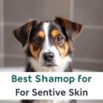 Best Shampoo For Dogs With Sensitive Skin
