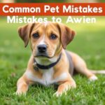 Common Pet Care Mistakes to Avoid