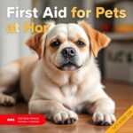 First Aid For Pets at Home Guide