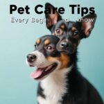 Pet Care Tips Every Beginner Should Know